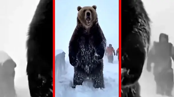 فیلم شبیه سازی نجات خرس در برف با هوش مصنوعی