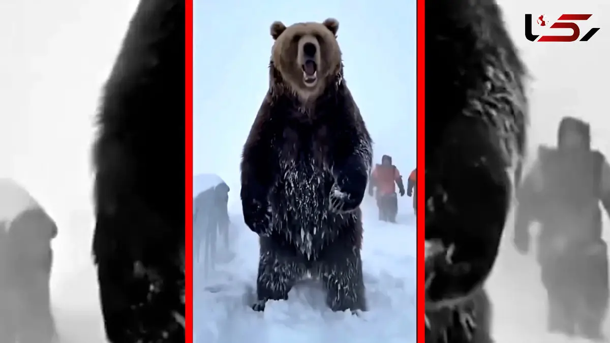 فیلم شبیه سازی نجات خرس در برف با هوش مصنوعی