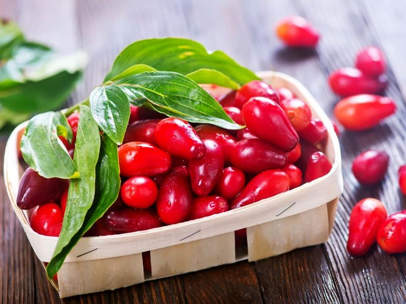 زغال اخته - بهترین مواد غذایی برای جلوگیری از سکته قلبی