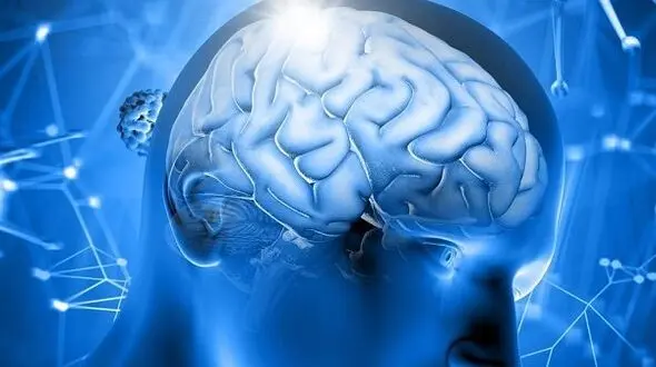مغز زنان جوان تر است یا مردان؟