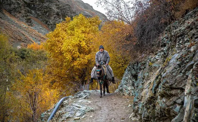روستای آهار