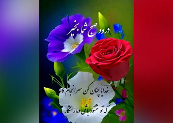فال و طالع بینی روزانه 31 اردیبهشت + فیلم 