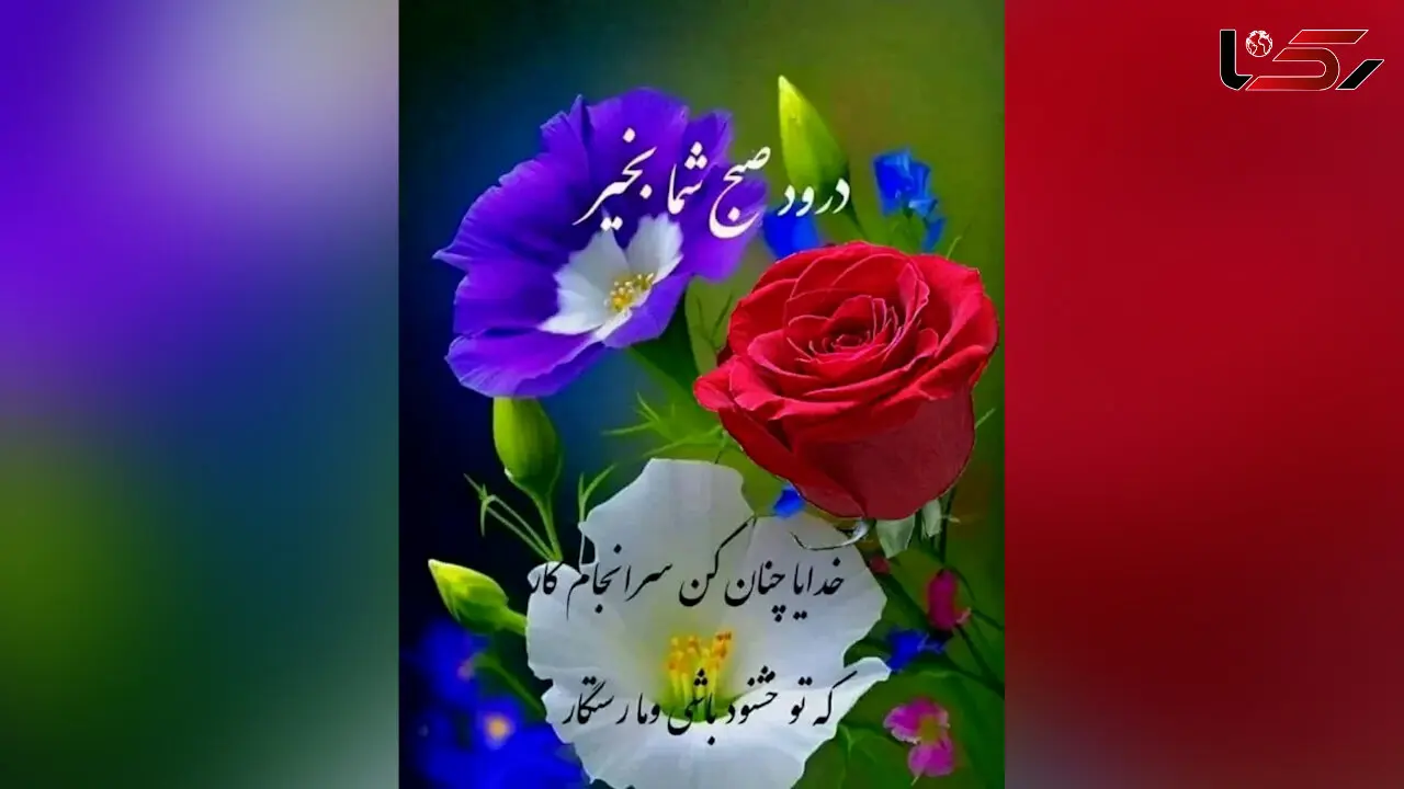 فال و طالع بینی روزانه 31 اردیبهشت + فیلم 