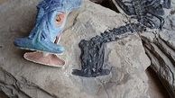 فسیل 242 میلیون ساله حیوان سرچکشی +فیلم و عکس