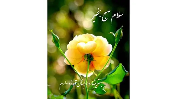 فال و طالع بینی روزانه در 6 آذر + فیلم