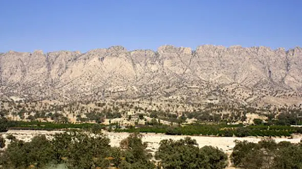 راز افتادن جسد یک ایرانی در منطقه جنگلی مرز ترکیه