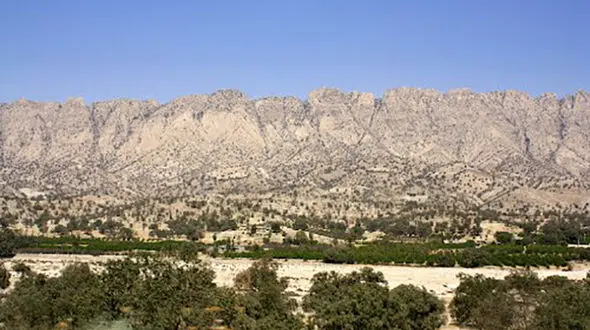 راز افتادن جسد یک ایرانی در منطقه جنگلی مرز ترکیه