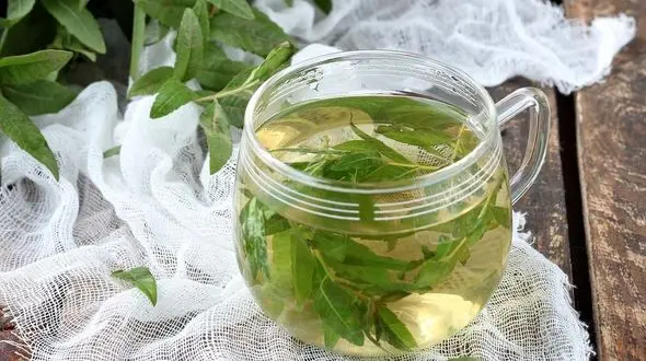 با دمنوش ها استرس تان را کم کنید