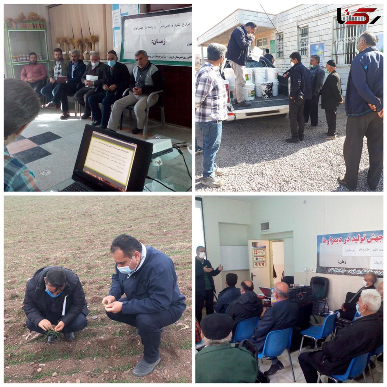 اجرایی شدن طرح جهش تولید در بیش از شش هزار هکتار از دیمزارهای شهرستان قزوین

