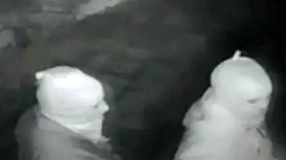 دهن کجی دزدان نقابدار به صاحبخانه ثروتمند + فیلم و عکس