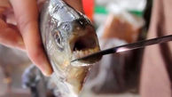 ماهی عجیب با دندان‌های انسان + عکس