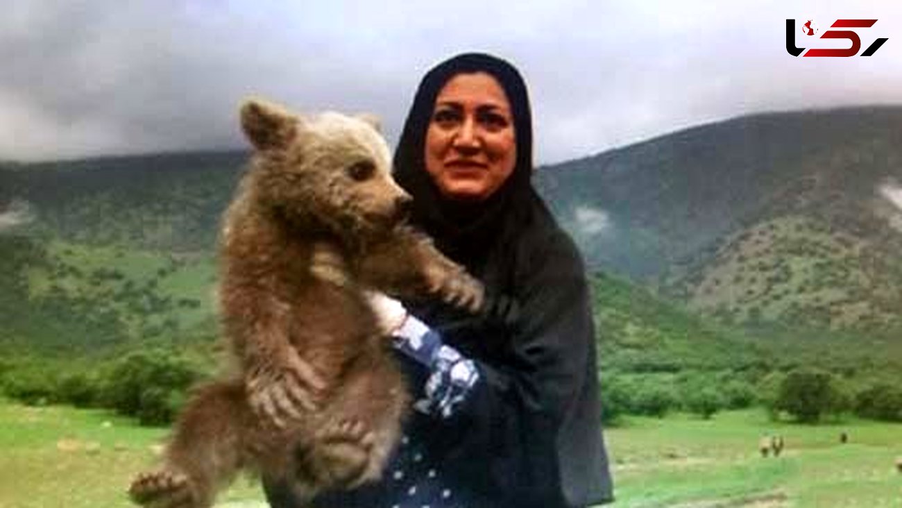  توله خرس بانمک در  سفید کوه خرم آباد تنها بود + تصاویر دیدنی