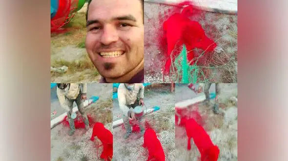 سگ آزاری که با یک شوخی شروع شد + فیلم