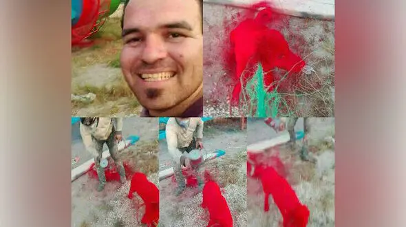 سگ آزاری که با یک شوخی شروع شد + فیلم