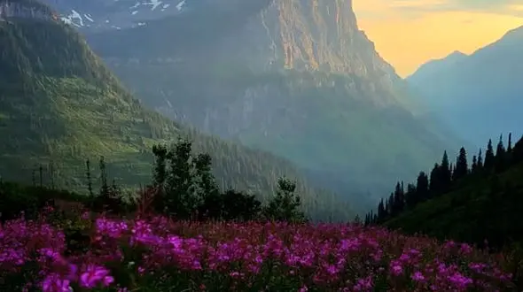 برای خواسته هایتان بجنگید