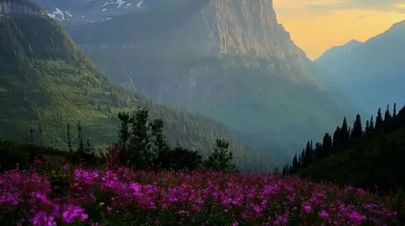 برای خواسته هایتان بجنگید