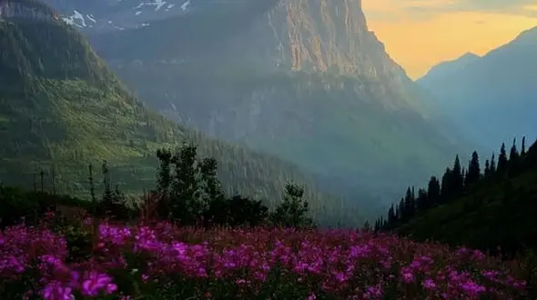 برای خواسته هایتان بجنگید