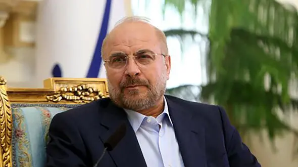 زیباترین دختر موبور و اروپایی ایران نوه قالیباف رییس مجلس ! + عکس 