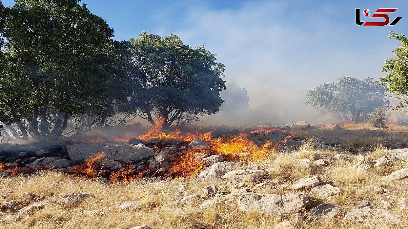 آتش سوزی در 2 هکتار از جنگل های زاگرس در ارتفاعات دالاهو + فیلم