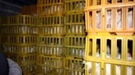 کشف ۴۸۸ قطعه مرغ قاچاق در "ملکان"