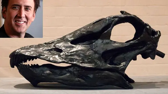 عشق ثروتمندان؛ از کوسه 8 میلیون دلاری تا توالتی از جنس طلا