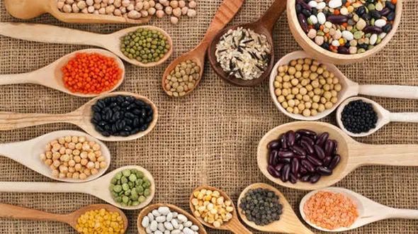 پروتئین گیاهی یا حیوانی ؛کدام بهتر است؟