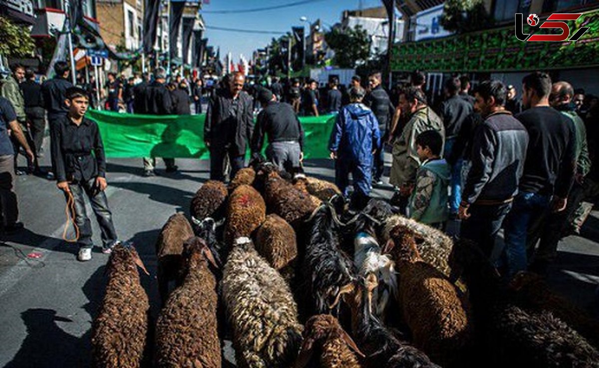 هشدار / بیماری‌ مرگباری که با ذبح خیابانی دام به جانتان می‌افتد