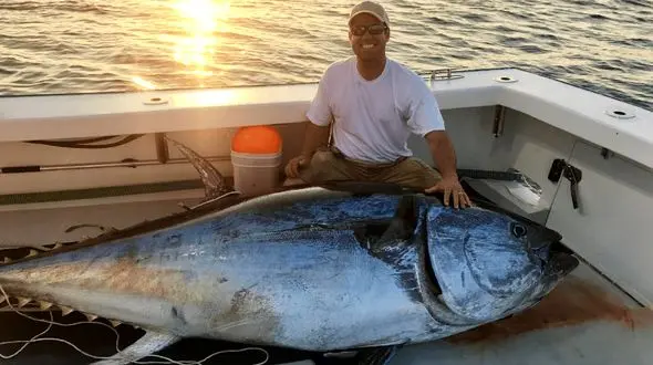 صید گروهی ماهی تن + فیلم 