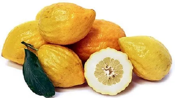 مسکن قوی گیاهی ضد درد