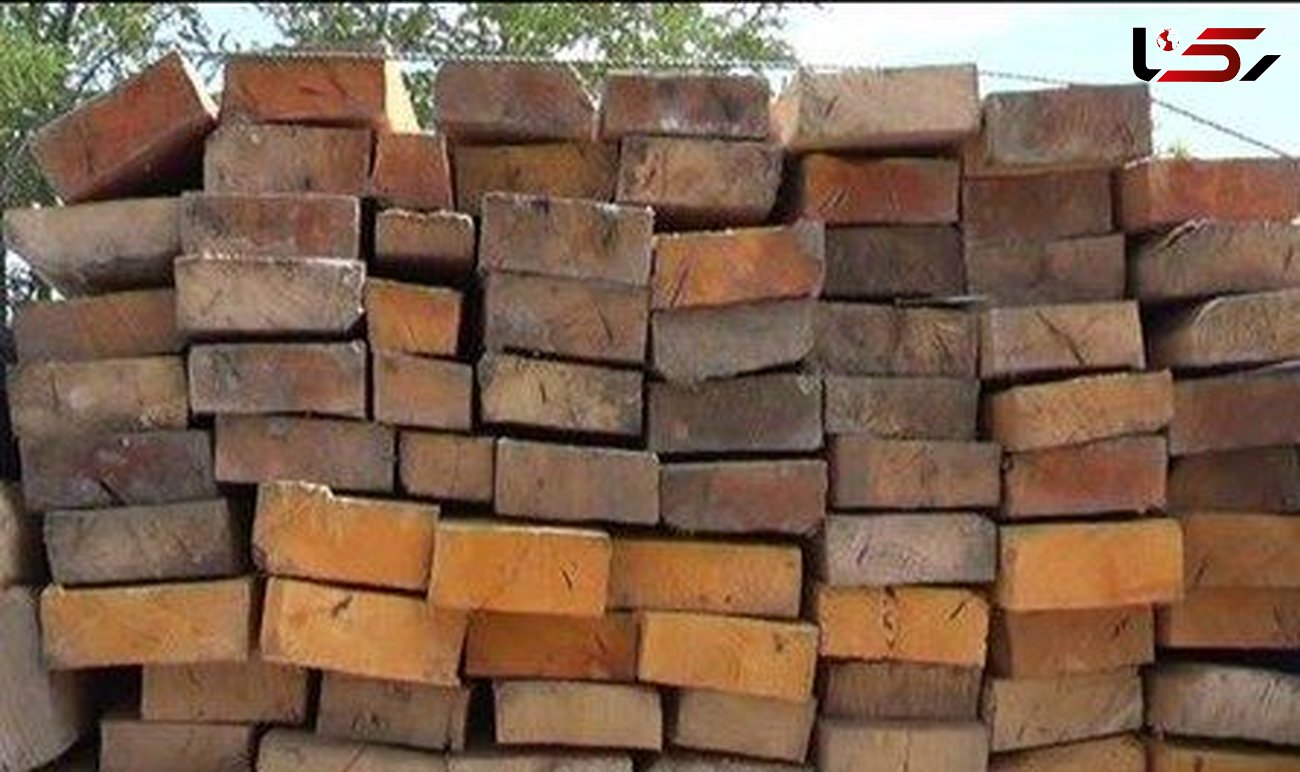 کشف 6 تن چوب قاچاق در غرب تهران 