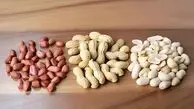 روز بادام زمینی؛ تاریخچه، خواص و حقایق جالب درباره این خوراکی محبوب