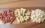 روز بادام زمینی؛ تاریخچه، خواص و حقایق جالب درباره این خوراکی محبوب