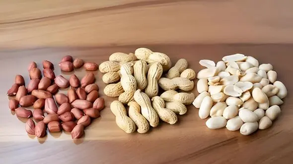 روز بادام زمینی؛ تاریخچه، خواص و حقایق جالب درباره این خوراکی محبوب