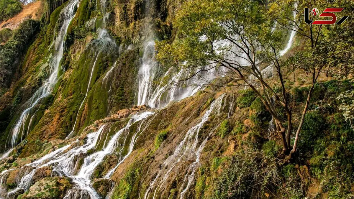 آبشار بیشه در غروب آفتاب +  فیلم