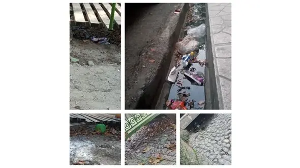 تلنبار زباله در جوب های تهران / لزوم ورود شورای شهر به وضعیت نظافت شهر/ مردم شهر نیز نظافت را رعایت کنند