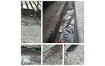 تلنبار زباله در جوب های تهران / لزوم ورود شورای شهر به وضعیت نظافت شهر/ مردم شهر نیز نظافت را رعایت کنند