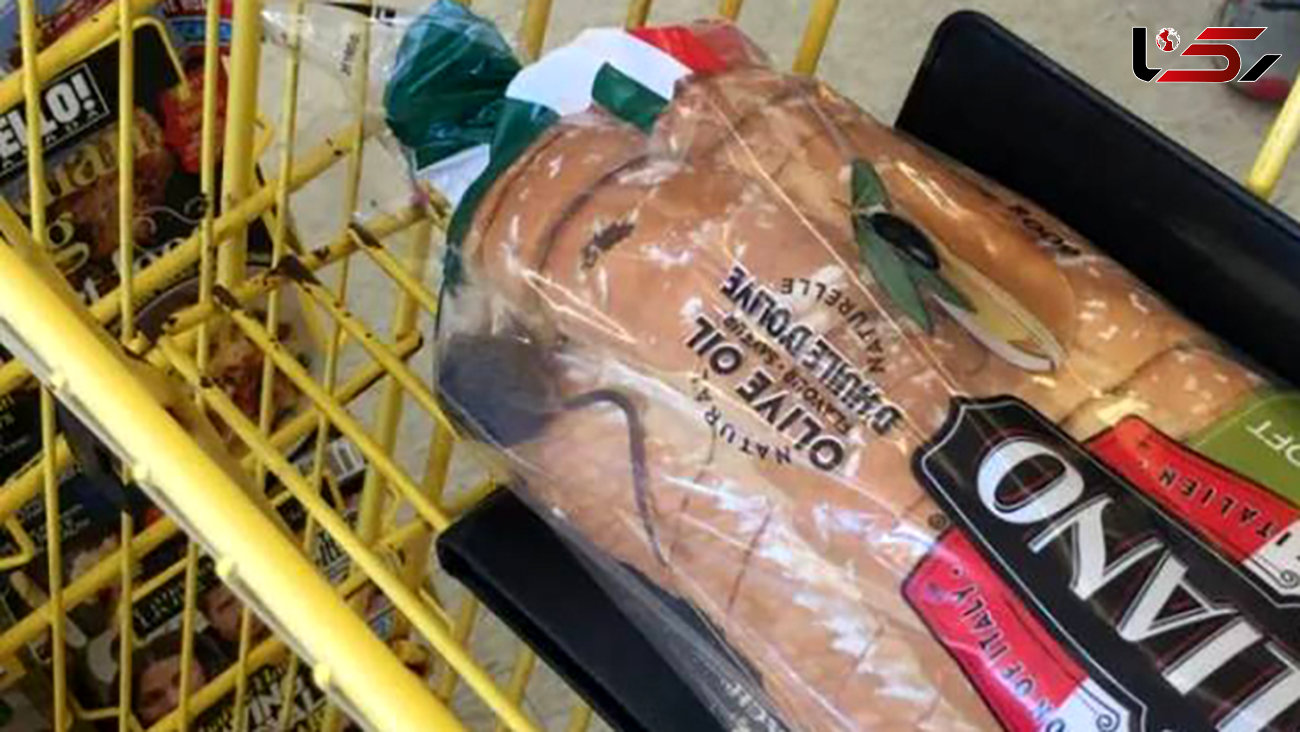 موش زنده در نان بسته بندی شده / کارت هدیه برای مشتری عصبانی +عکس 
