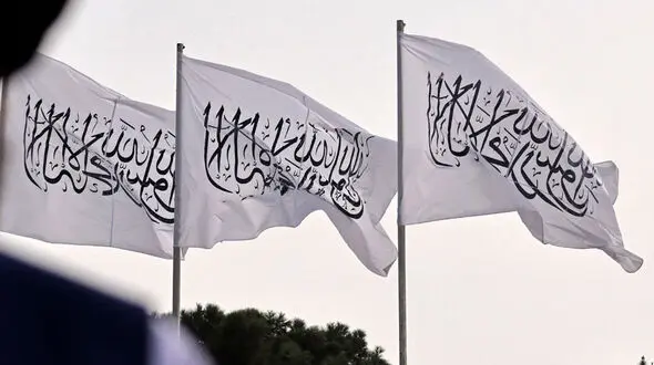 طالبان: اگر با اسرائیل مرز مشترک داشتیم وارد جنگ می شدیم