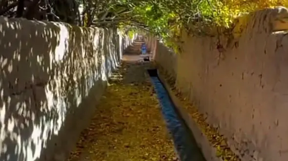 سفر پاییزی به باغ‌ شهر تفت یزد + فیلم