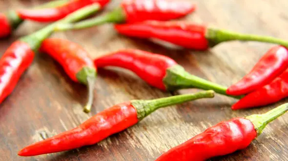 چطور در پاییز لاغر شویم