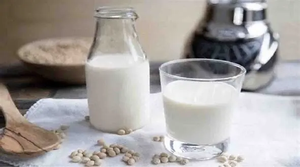 اگر آخر شب گرسنه ات شد چه بخوری که چاق نشوی؟