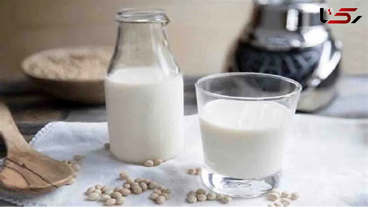 اگر آخر شب گرسنه ات شد چه بخوری که چاق نشوی؟
