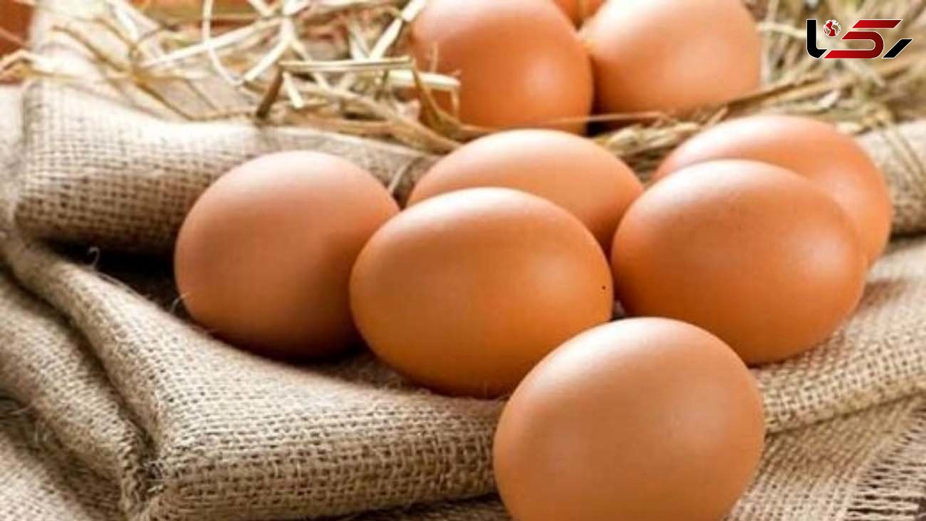 نرخ مصوب تخم مرغ افزایش یافت
