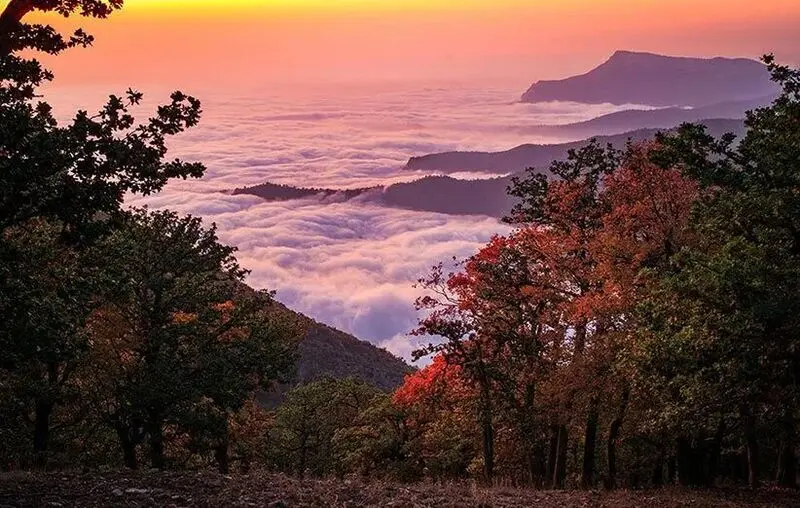 جنگل ابر در سمنان