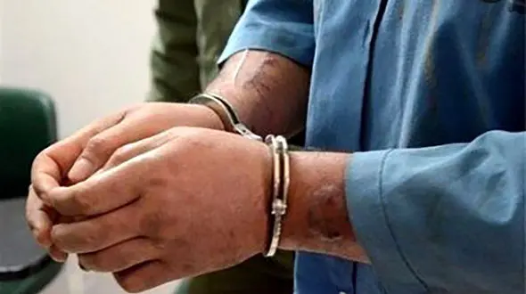 فیلم لحظه دستگیری سارق خانه های منطقه زعفرانیه توسط 2 پیرمرد