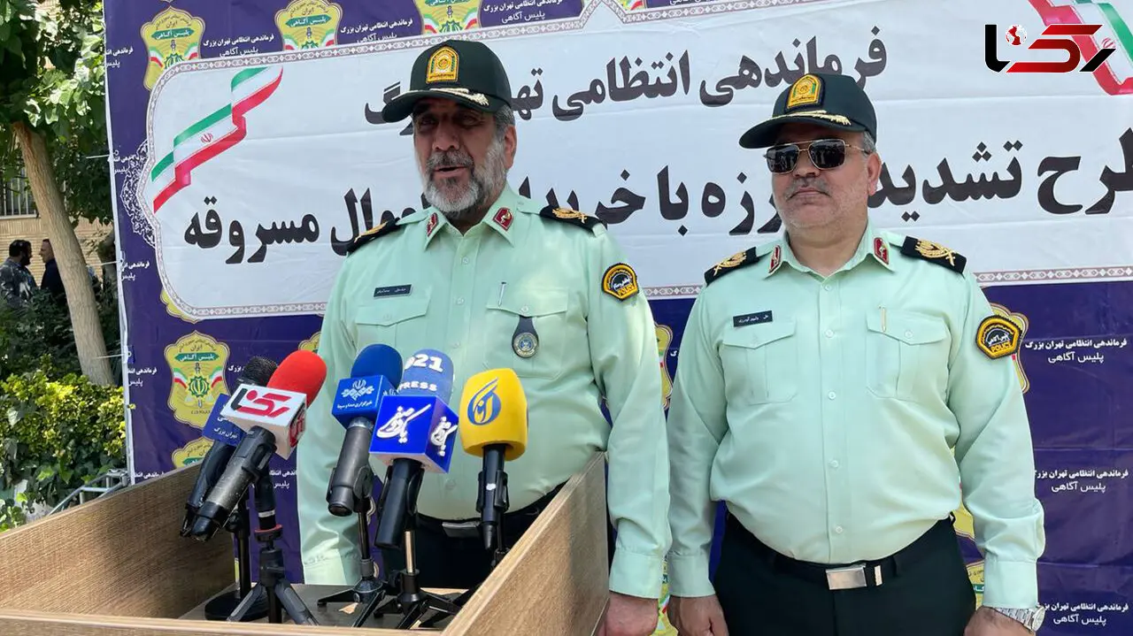 نقش پررنگ مالخرها در سرقت های سازمان یافته تهران