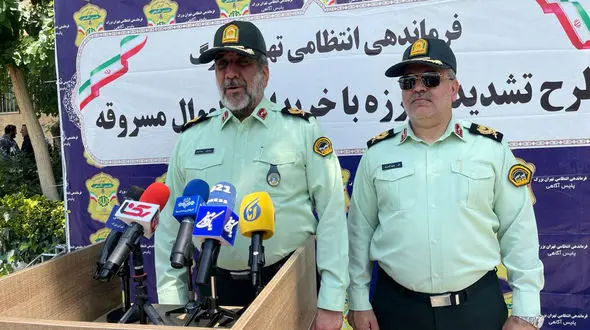 نقش پررنگ مالخرها در سرقت های سازمان یافته تهران