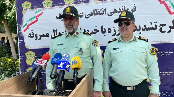 نقش پررنگ مالخرها در سرقت های سازمان یافته تهران