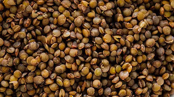 از این مواد غذایی غافل نشوید 