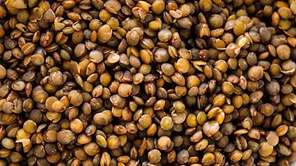 از این مواد غذایی غافل نشوید 